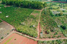 Công an vào cuộc vụ mua đất Đà Lạt 20,8 tỷ đồng, hai tháng sau bán lại chỉ gần 8 tỷ