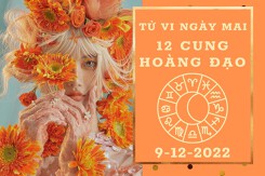 Tử vi ngày mai của 12 cung hoàng đạo 9/12/2022: Song Tử tài lộc bền vững, Song Ngư sự nghiệp chênh vênh