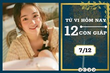 Tử vi hàng ngày hôm nay của 12 con giáp 7/12/2022: Tý tài lộc tiến triển, Tỵ tình duyên tốt đẹp