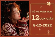 Tử vi ngày mai của 12 con giáp 8/12/2022: Ngọ tài lộc khá dư dả, Tý công danh đắc ý