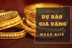 Dự báo giá vàng 8/12: Biến động nhẹ theo thị trường thế giới?