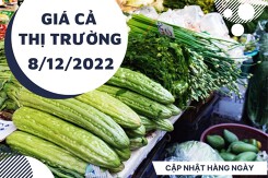 Giá cả thị trường hôm nay 8/12/2022: Rau củ quả giữ giá ổn định tại các siêu thị