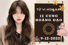 Tử vi hôm nay của 12 cung hoàng đạo ngày 9/12/2022: Bạch Dương tình cảm khởi sắc, Nhân Mã tài lộc hao hụt