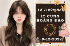 Tử vi hôm nay của 12 cung hoàng đạo ngày 9/12/2022: Bạch Dương tình cảm khởi sắc, Nhân Mã tài lộc hao hụt