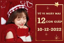 Tử vi ngày mai của 12 con giáp 10/12/2022: Dậu tài lộc không tệ, Thìn sự nghiệp tốt xấu đan xen