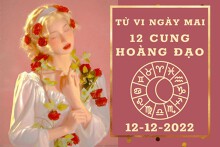 Tử vi ngày mai của 12 cung hoàng đạo 12/12/2022: Nhân Mã tài lộc thuận lợi, Bảo Bình tình cảm hỗn độn