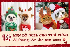10 mẫu đồ Noel cho thú cưng dễ thương, độc đáo năm 2022