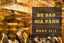 Dự báo giá vàng 11/1: Có thể tăng theo xu hướng thế giới?