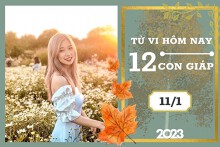 Tử vi hàng ngày hôm nay của 12 con giáp 11/1/2023: Ngọ tài lộc bất lợi, Dần tình duyên êm đềm