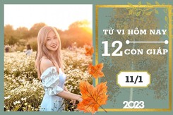 Tử vi hàng ngày hôm nay của 12 con giáp 11/1/2023: Ngọ tài lộc bất lợi, Dần tình duyên êm đềm