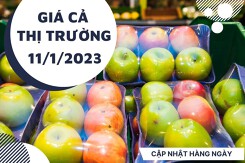 Giá cả thị trường hôm nay 11/1/2023: Trái cây nhập khẩu có giá tốt tại siêu thị