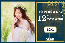 Tử vi hàng ngày hôm nay của 12 con giáp 12/1/2023: Mùi tài lộc may mắn, Mão tình duyên hạnh phúc