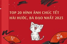 Top 20 hình ảnh chúc Tết hài hước, bá đạo nhất 2023