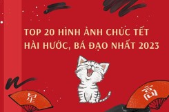Top 20 hình ảnh chúc Tết hài hước, bá đạo nhất 2023
