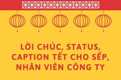 45 lời chúc Tết sếp, nhân viên công ty hay, ngắn gọn và ý nghĩa nhất 2026
