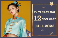 Tử vi ngày mai của 12 con giáp 14/1/2023: Dậu tài lộc bấp bênh, Dần tình cảm lận đận