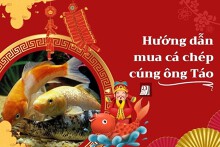 Hướng dẫn mua cá chép cúng ông Táo, địa chỉ mua, giá cá chép mới nhất 2023