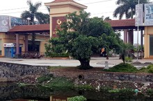Nam Định đấu giá 6 lô đất tại huyện Ý Yên, khởi điểm khoảng 13,41 triệu đồng/m2