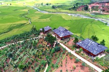 Đấu giá 69 thửa đất ở tại huyện Mù Cang Chải, Yên Bái, khởi điểm từ 4,71 triệu đồng/m2