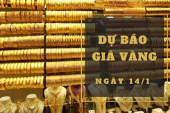 Dự báo giá vàng 14/1: Tăng thêm trong phiên cuối tuần?