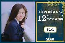Tử vi hàng ngày hôm nay của 12 con giáp 14/1/2023: Dậu tài lộc trầm lắng, Tỵ tình duyên hòa hợp