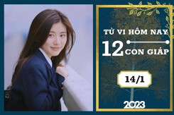 Tử vi hàng ngày hôm nay của 12 con giáp 14/1/2023: Dậu tài lộc trầm lắng, Tỵ tình duyên hòa hợp