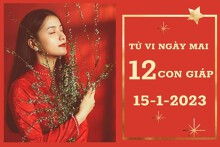 Tử vi ngày mai của 12 con giáp 15/1/2023: Tuất tài lộc ổn định, Thìn sự nghiệp phát triển