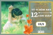 Tử vi hàng ngày hôm nay của 12 con giáp 15/1/2023: Tuất tài lộc hanh thông, Ngọ tình duyên không vui