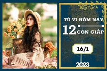 Tử vi hàng ngày hôm nay của 12 con giáp 16/1/2023: Hợi tài lộc tươi sáng, Mùi tình duyên vui vẻ