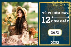 Tử vi hàng ngày hôm nay của 12 con giáp 16/1/2023: Hợi tài lộc tươi sáng, Mùi tình duyên vui vẻ