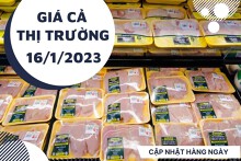 Giá cả thị trường hôm nay 16/1/2023: Bách Hóa Xanh khuyến mãi hấp dẫn thịt gà các loại
