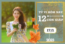 Tử vi hàng ngày hôm nay của 12 con giáp 17/1/2023: Tý tài lộc kém sắc, Thân tình duyên vui vẻ