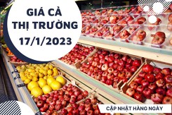 Giá cả thị trường hôm nay 17/1/2023: Nhiều loại trái cây nội địa có giá phải chăng