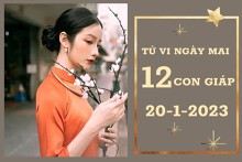 Tử vi ngày mai của 12 con giáp 20/1/2023: Mão tài lộc dồi dào, Dậu tình cảm thăng hoa