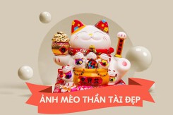 Top 30 hình ảnh mèo Thần Tài đẹp mang lại may mắn năm 2026