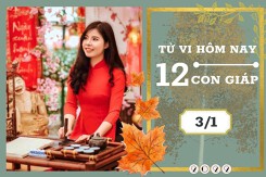 Tử vi hàng ngày hôm nay của 12 con giáp 3/1/2023: Dậu tài lộc tốt đẹp, Ngọ tình duyên vui vẻ