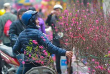 Dự báo thời tiết Hà Nội hôm nay 21/1: Đôi lúc có mưa nhỏ vài nơi, trời rét