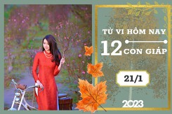 Tử vi hàng ngày hôm nay của 12 con giáp 21/1/2023: Thìn tài lộc tiến triển, Tý tình duyên kém sắc