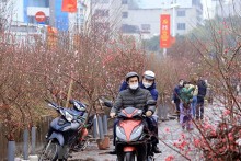 Dự báo thời tiết Hà Nội hôm nay 22/1: Sáng và đêm trời trở rét, đôi lúc có mưa nhỏ