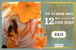 Tử vi hàng ngày hôm nay của 12 con giáp 23/1/2023: Ngọ tài lộc không được thuận lợi, Dần tình duyên hạnh phúc