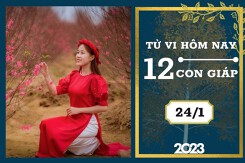 Tử vi hàng ngày hôm nay của 12 con giáp 24/1/2023: Mùi tài lộc đi xuống, Mão tình duyên không được êm ấm