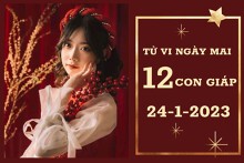 Tử vi ngày mai của 12 con giáp 24/1/2023: Thìn tài lộc bất ổn, Tý tình cảm ổn định