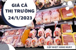 Giá cả thị trường hôm nay 24/1/2023: Thịt gà các loại lên kệ vào mùng ba Tết