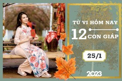 Tử vi hàng ngày hôm nay của 12 con giáp 25/1/2023: Thân tài lộc bình ổn, Thìn tình duyên hạnh phúc