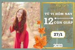 Tử vi hàng ngày hôm nay của 12 con giáp 27/1/2023: Tuất tài lộc bình lặng, Ngọ tình duyên hạnh phúc