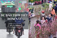 Dự báo thời tiết hôm nay 27/1/2023: Hà Nội, Đà Nẵng đều có mưa và rét, TP HCM chiều tối có mưa