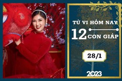 Tử vi hàng ngày hôm nay của 12 con giáp 28/1/2023: Hợi tài lộc trầm lắng, Mùi tình duyên kém sắc