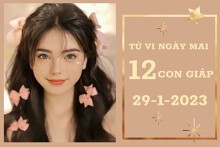 Tử vi ngày mai của 12 con giáp 29/1/2023: Sửu gia tăng về tài lộc, Ngọ công việc êm xuôi