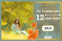 Tử vi hàng ngày hôm nay của 12 con giáp 29/1/2023: Tý tài lộc hao hụt, Dậu tình duyên có biến chuyển