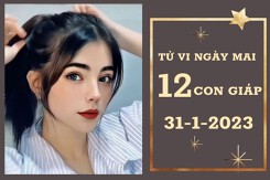 Tử vi ngày mai của 12 con giáp 31/1/2023: Tý tài lộc vượng tiến, Thìn sự nghiệp rộng mở
